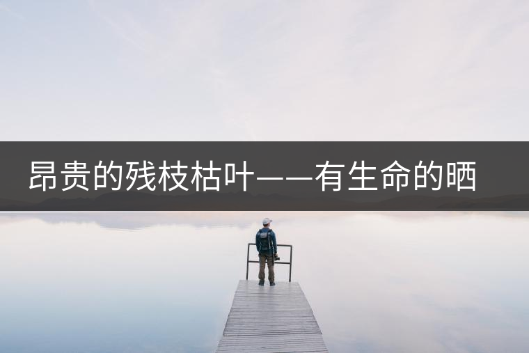 昂貴的殘枝枯葉——有生命的曬青毛茶