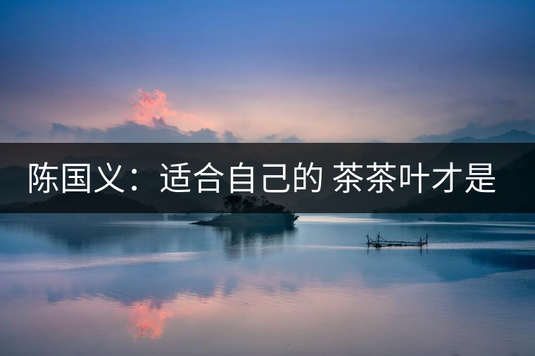 陳國義:適合自己的 茶茶葉才是最好的 陳國義:適合自己的 茶茶葉才是最好的