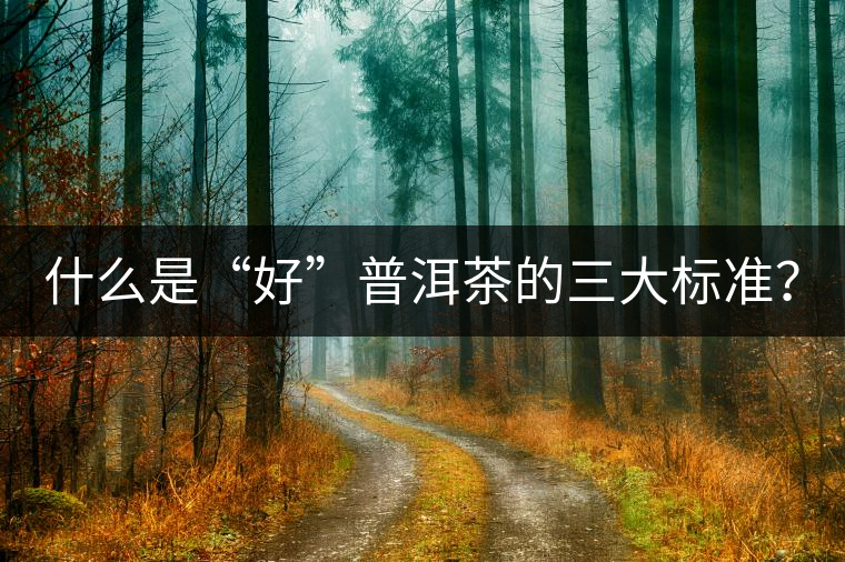 什么是“好”普洱茶的三大標準？