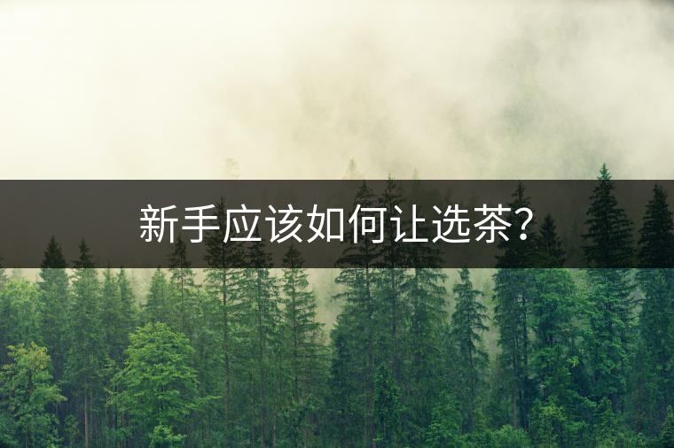 新手應(yīng)該如何讓選茶？