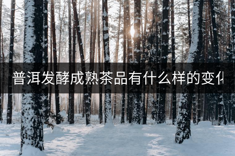 普洱發(fā)酵成熟茶品有什么樣的變化? 普洱發(fā)酵成熟茶品有什么樣的變化?