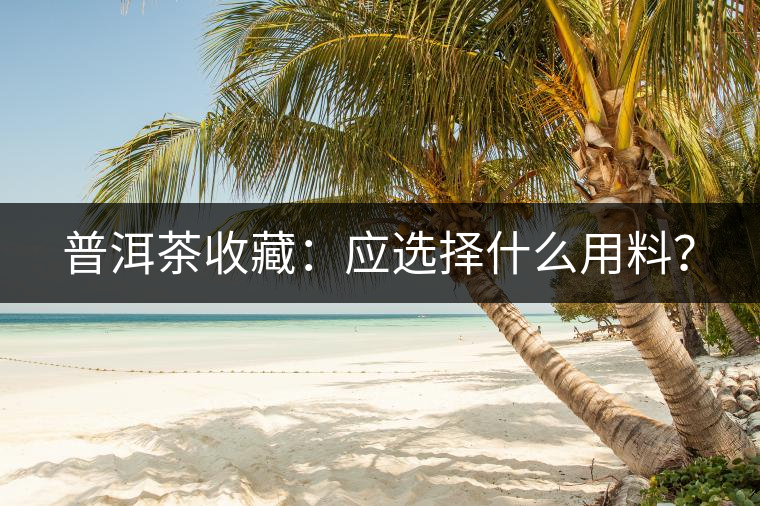 普洱茶收藏：應(yīng)選擇什么用料？