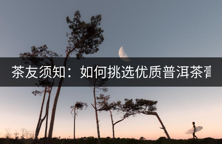 茶友須知：如何挑選優(yōu)質(zhì)普洱茶膏？