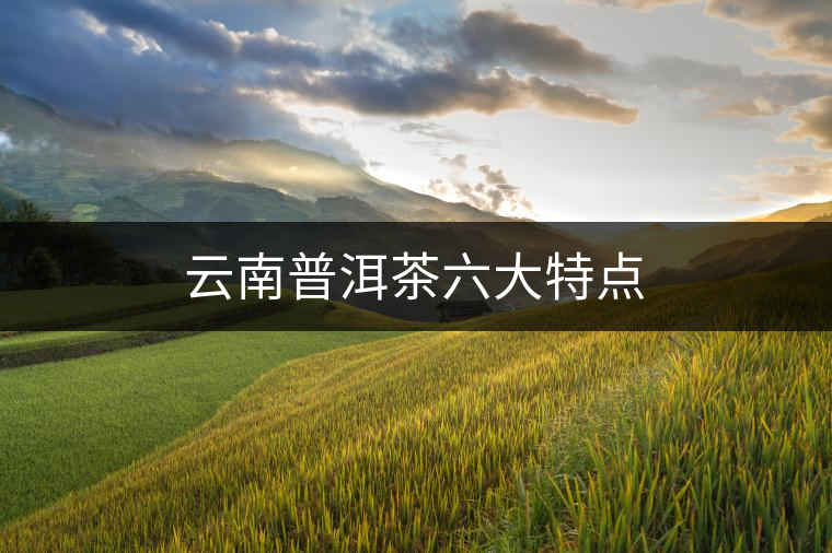 云南普洱茶六大特點