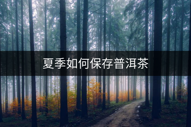 夏季如何保存普洱茶