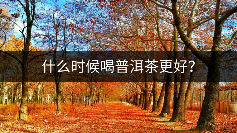 什么時候喝普洱茶更好？
