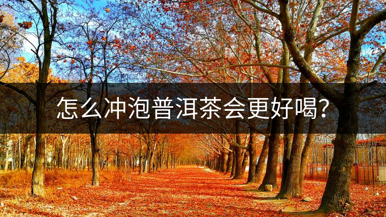 怎么沖泡普洱茶會更好喝？