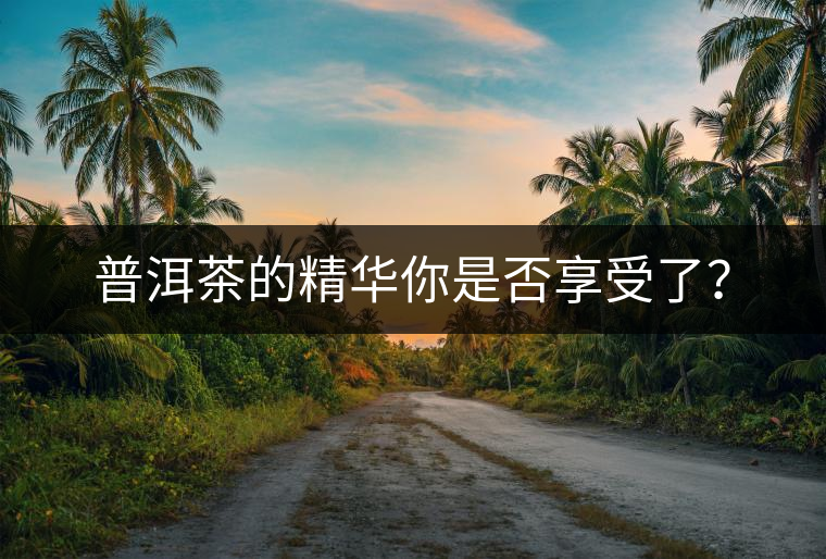 普洱茶的精華你是否享受了？