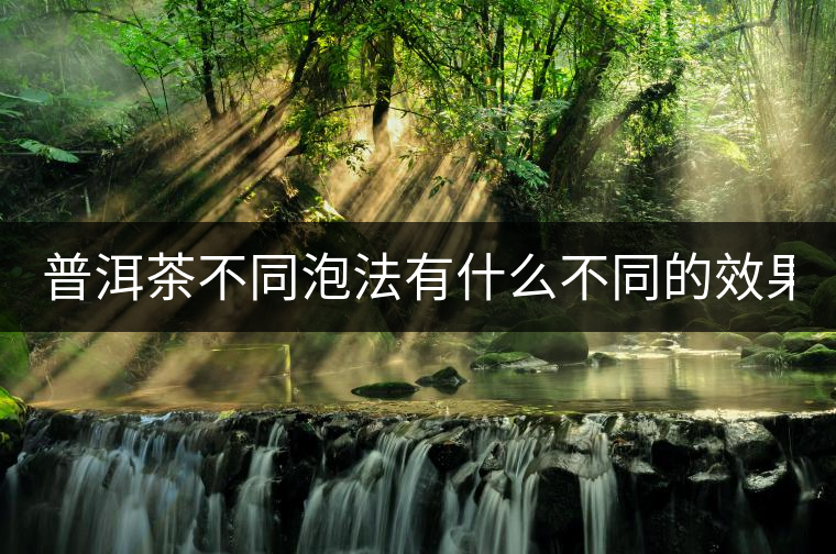 普洱茶不同泡法有什么不同的效果？