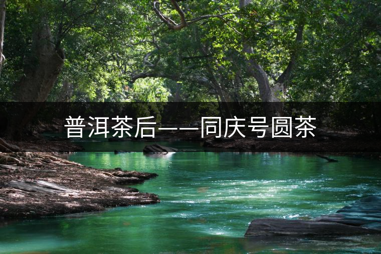 普洱茶后——同慶號(hào)圓茶 普洱茶后——同慶號(hào)圓茶