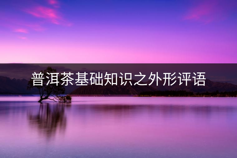 普洱茶基礎(chǔ)知識(shí)之外形評(píng)語(yǔ) 普洱茶基礎(chǔ)知識(shí)之外形評(píng)語(yǔ)