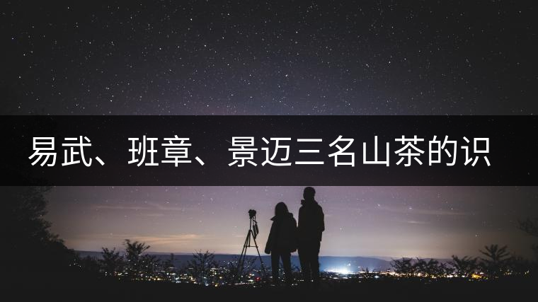 易武、班章、景邁三名山茶的識別