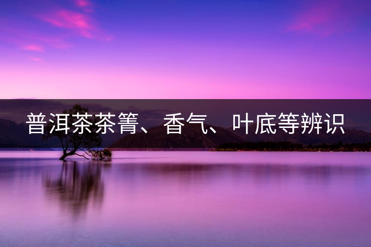 普洱茶茶箐、香氣、葉底等辨識