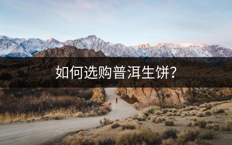 如何選購普洱生餅？