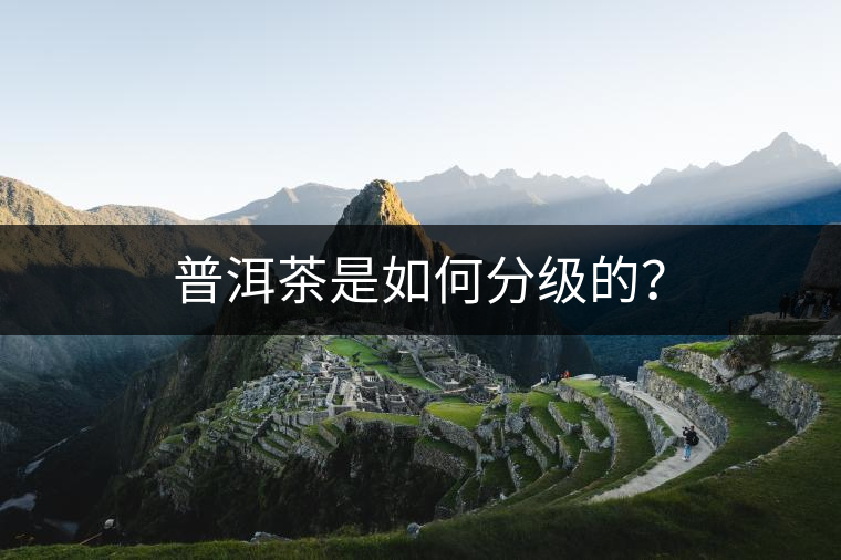 普洱茶是如何分級的？