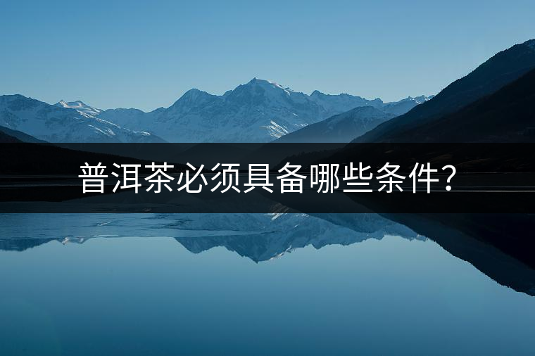 普洱茶必須具備哪些條件？