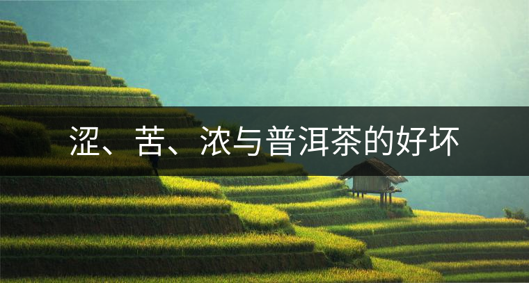 澀、苦、濃與普洱茶的好壞