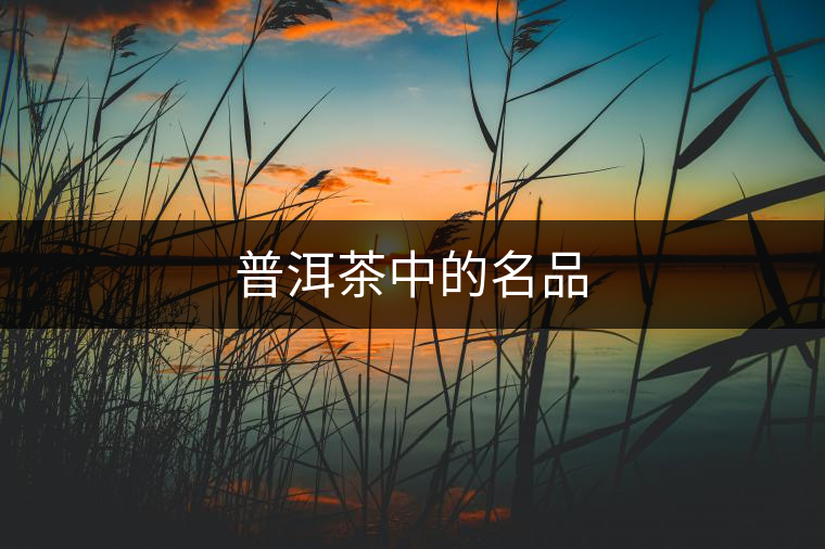 普洱茶中的名品 普洱茶中的名品