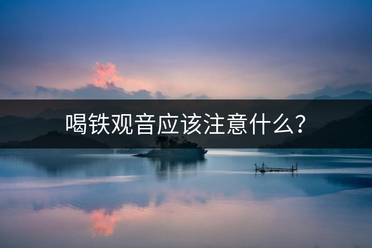 喝鐵觀音應(yīng)該注意什么？