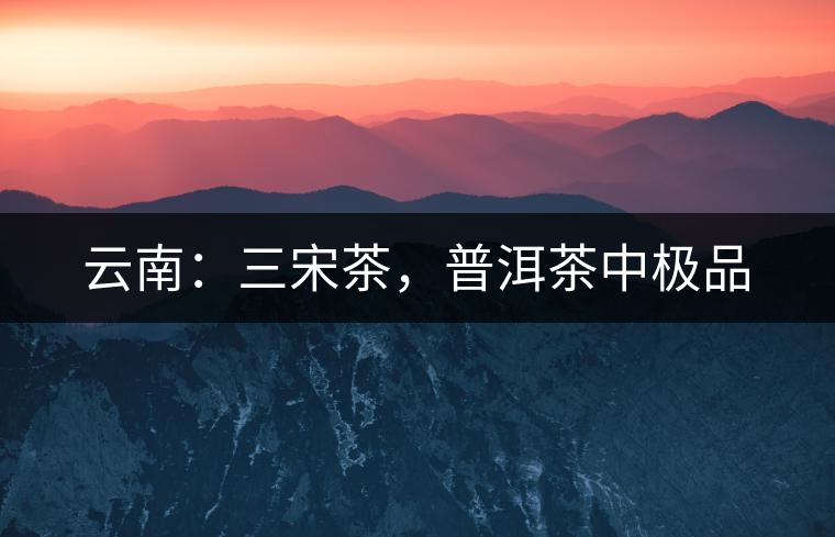 云南：三宋茶，普洱茶中極品