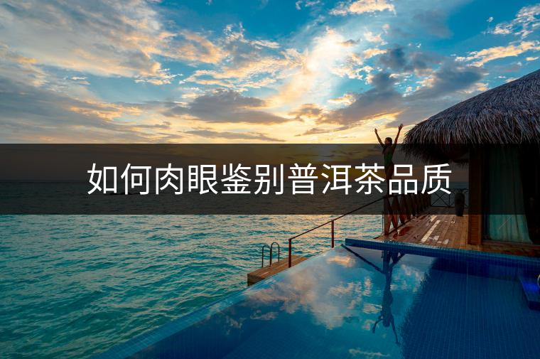 如何肉眼鑒別普洱茶品質(zhì)