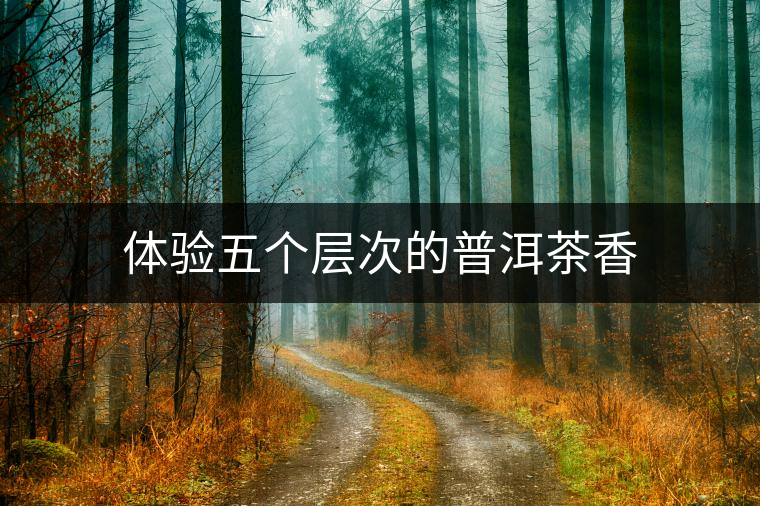 體驗(yàn)五個層次的普洱茶香