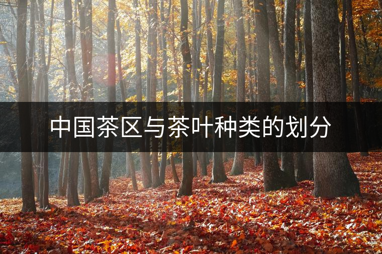 中國(guó)茶區(qū)與茶葉種類(lèi)的劃分 中國(guó)茶區(qū)與茶葉種類(lèi)的劃分