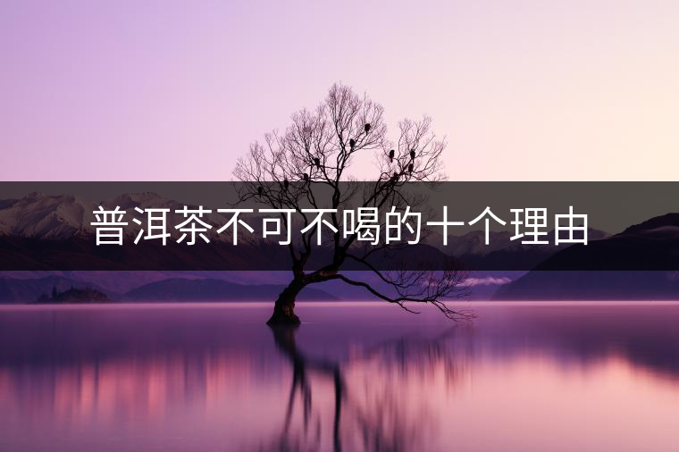 普洱茶不可不喝的十個理由