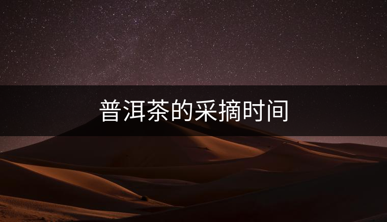 普洱茶的采摘時間