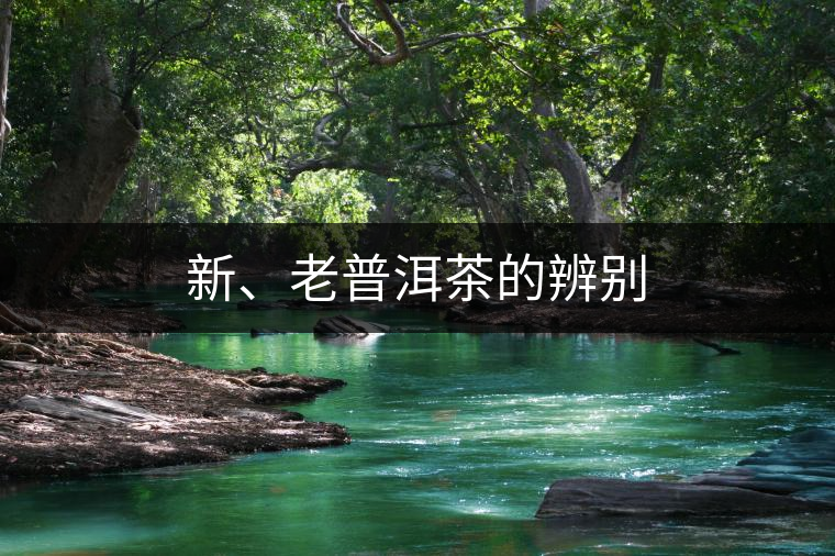 新、老普洱茶的辨別