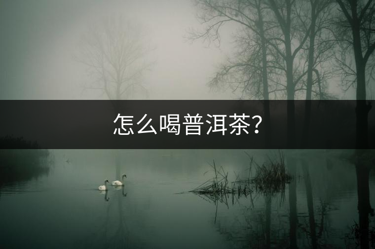 怎么喝普洱茶？