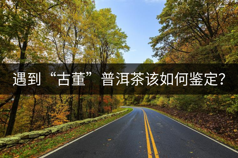 遇到“古董”普洱茶該如何鑒定？