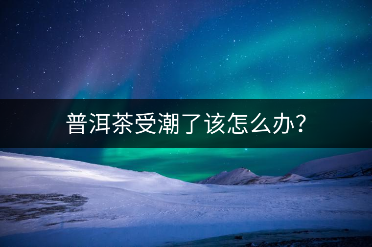 普洱茶受潮了該怎么辦？