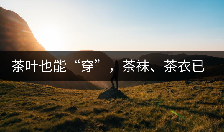 茶葉也能“穿”，茶襪、茶衣已進入研發(fā)階段