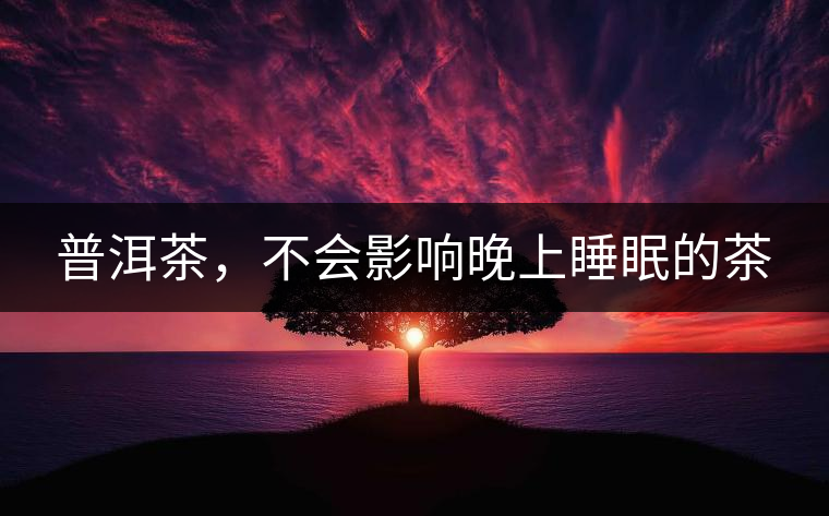 普洱茶，不會影響晚上睡眠的茶
