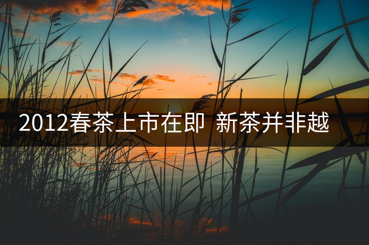 2012春茶上市在即 新茶并非越新越好 2012春茶上市在即 新茶并非越新越好