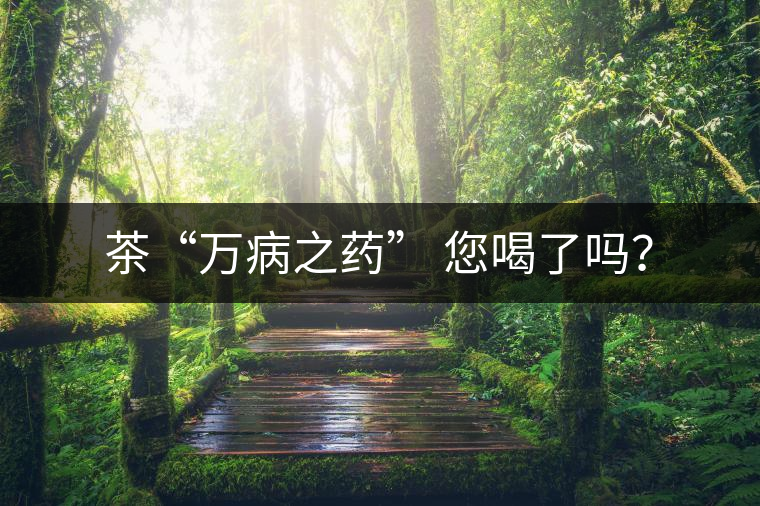茶“萬病之藥” 您喝了嗎？