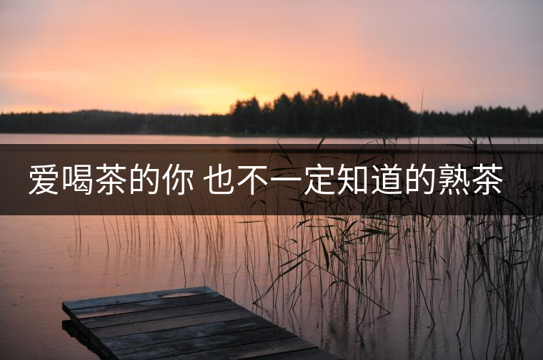愛喝茶的你 也不一定知道的熟茶知識！