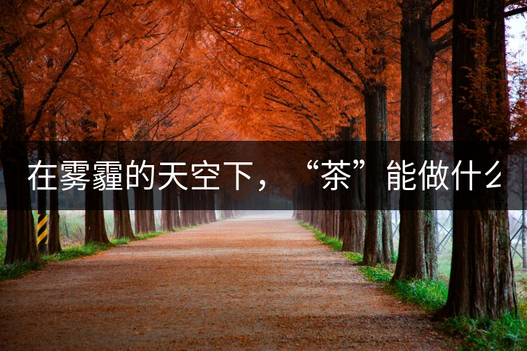 在霧霾的天空下，“茶”能做什么？