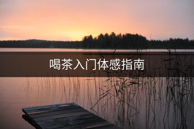 喝茶入門(mén)體感指南
