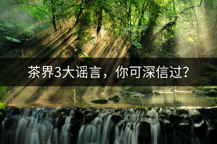 茶界3大謠言，你可深信過(guò)？