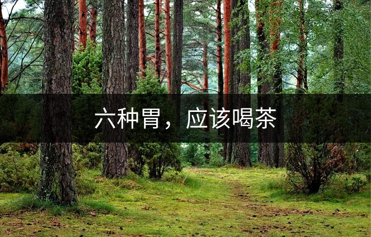 六種胃，應(yīng)該喝茶