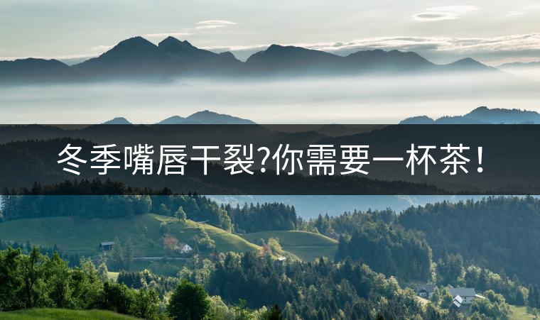 冬季嘴唇干裂?你需要一杯茶！
