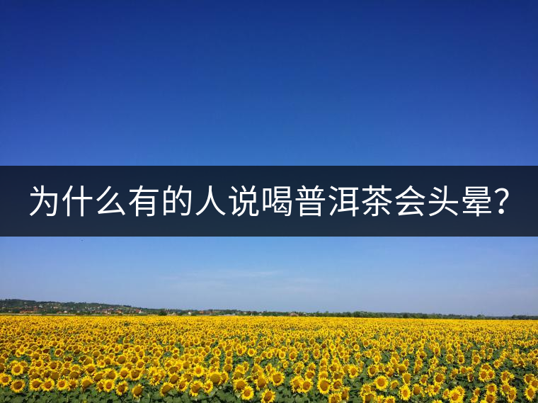 為什么有的人說(shuō)喝普洱茶會(huì)頭暈？