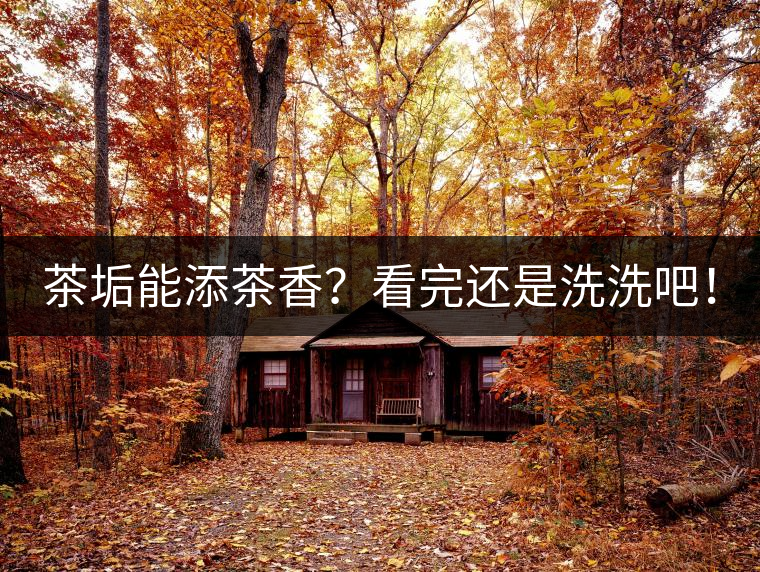 茶垢能添茶香？看完還是洗洗吧！