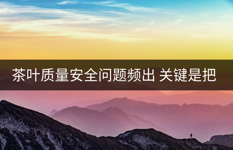 茶葉質(zhì)量安全問(wèn)題頻出 關(guān)鍵是把控源頭