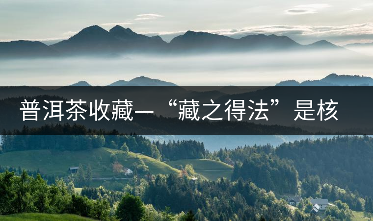 普洱茶收藏—“藏之得法”是核心 普洱茶收藏—“藏之得法”是核心
