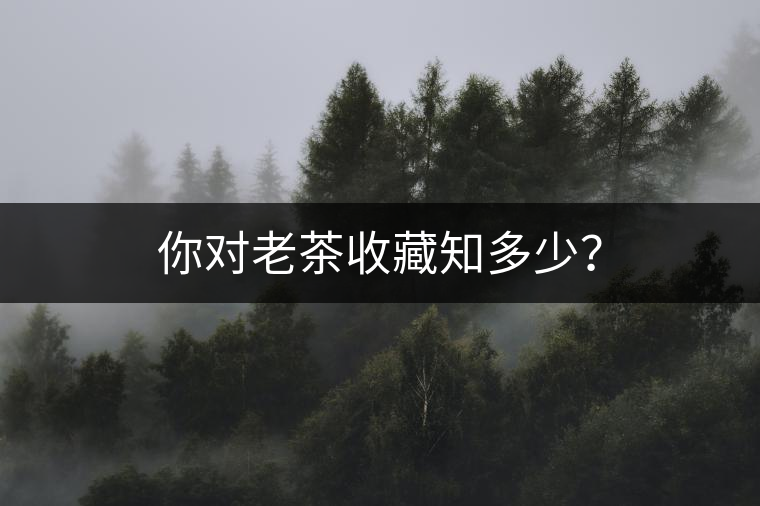 你對(duì)老茶收藏知多少？