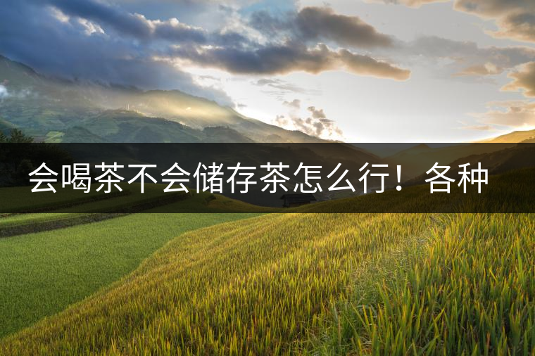 會(huì)喝茶不會(huì)儲(chǔ)存茶怎么行！各種存茶方法與技巧，把茶香留住