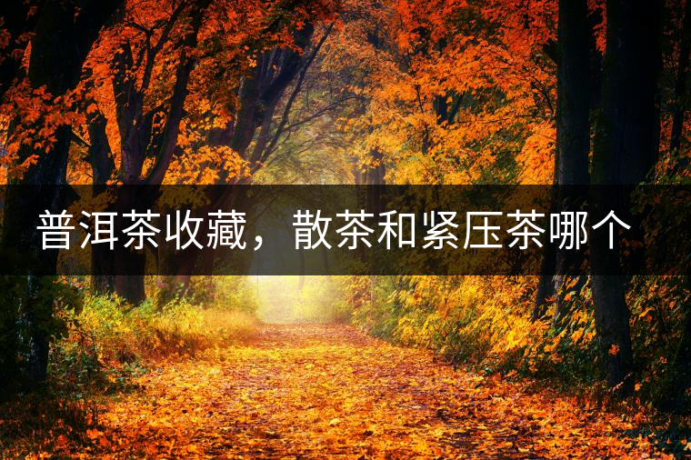 普洱茶收藏，散茶和緊壓茶哪個(gè)更好？